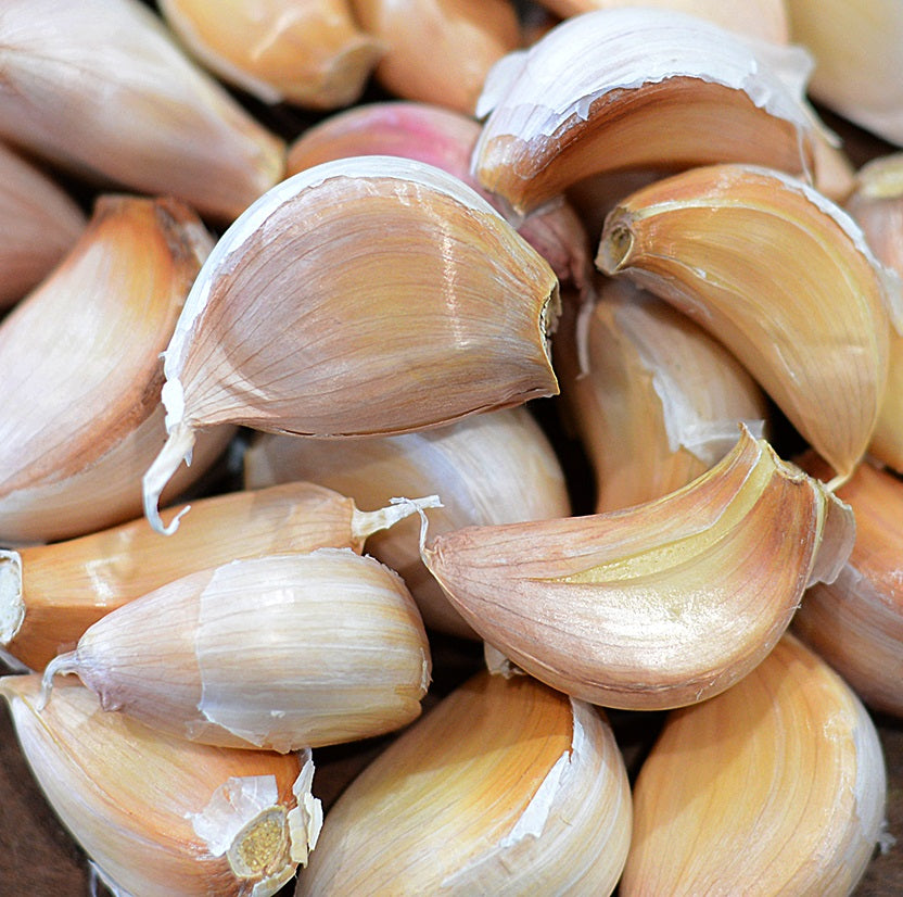 GARLIC KANGAROO ISLAND FRESH 150g